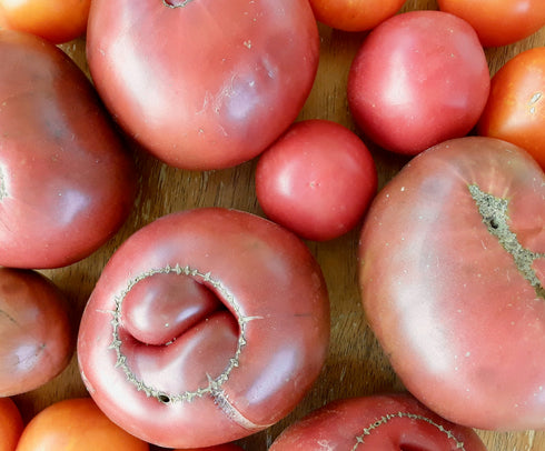 Black Krim Heirloom Tomato